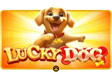 Pengingat 18+ untuk Permainan Rummy